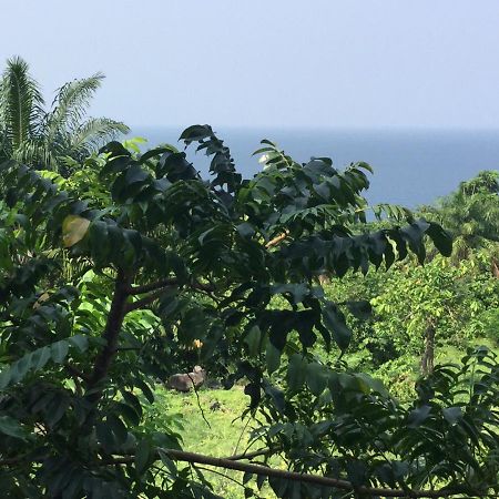 Roca Monte Forte Villa Neves Ngoại thất bức ảnh