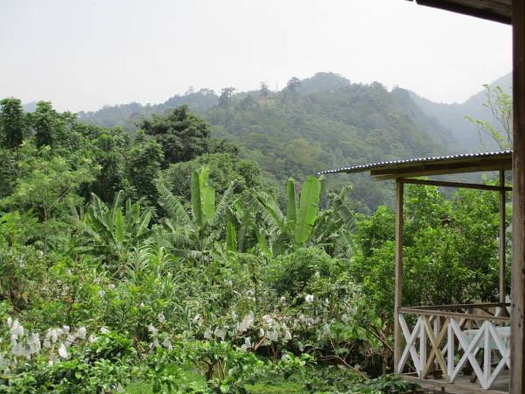 Roca Monte Forte Villa Neves Ngoại thất bức ảnh